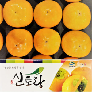 [단독최저가] 신북농협 영암 황토 단감 (포트) 3kg / 5kg / 10kg